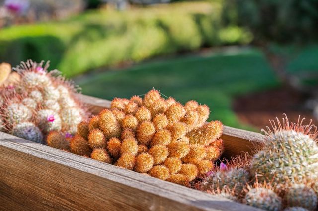 5615 Ludwig Ave, El Cerrito, CA 94530