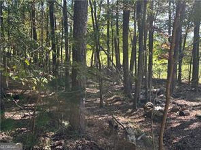 LT1351 Willow Terrace 1351, Jasper, GA 30143