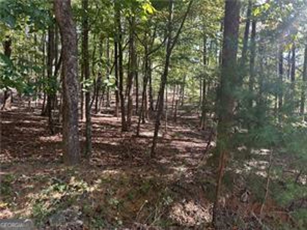 LT1351 Willow Terrace 1351, Jasper, GA 30143