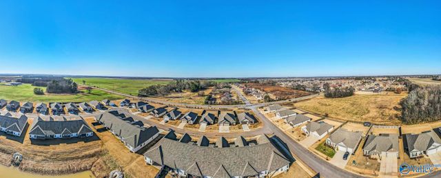 12402 Whitcomb Circle, Athens, AL 35613