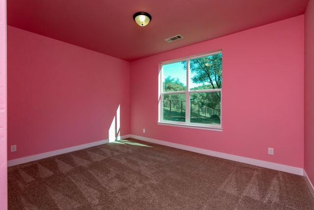 1072 Champagne Ln, Placerville, CA 95667