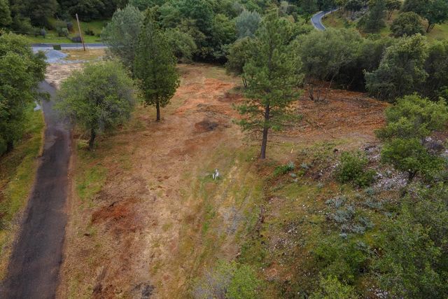 1072 Champagne Ln, Placerville, CA 95667