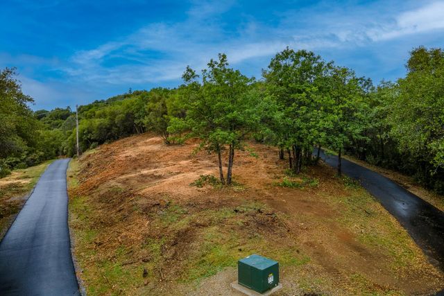 1072 Champagne Ln, Placerville, CA 95667