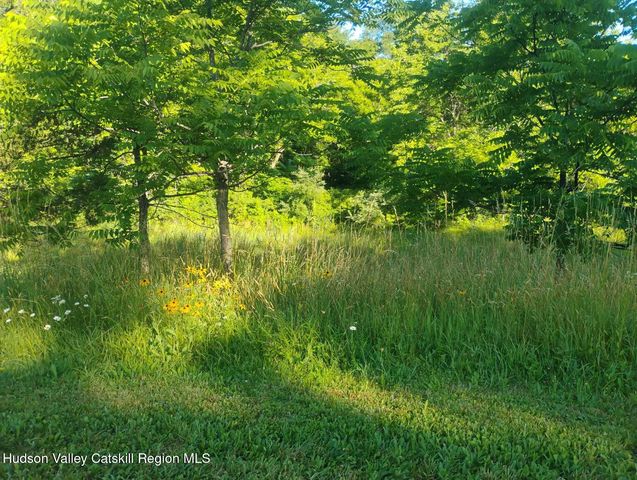 1316 Woods Road, Germantown, NY 12526