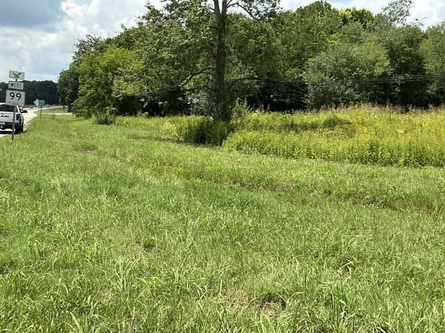 0 Bear Creek Pike, Columbia, TN 38401