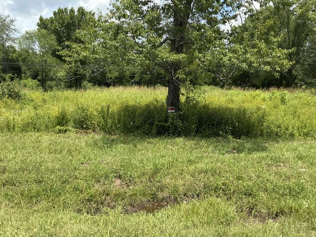 0 Bear Creek Pike, Columbia, TN 38401