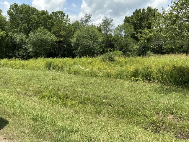 0 Bear Creek Pike, Columbia, TN 38401