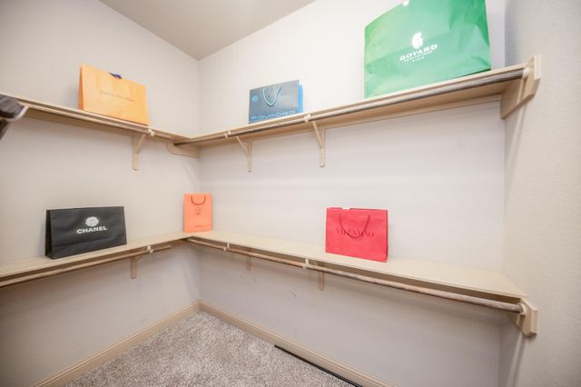 2443 Grey Reef Drive, Katy, TX 77449