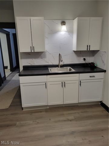 3852 W 41st Street, Cleveland, OH 44109