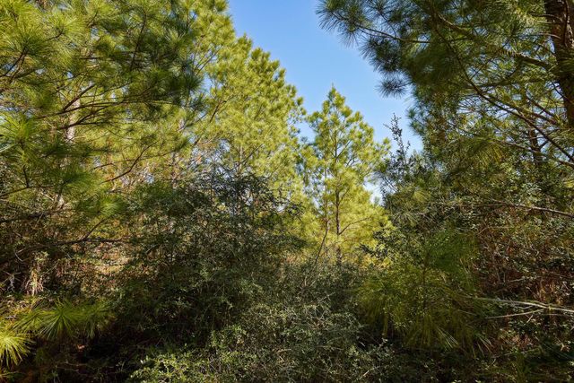 129 Country Air DR, Bastrop, TX 78602