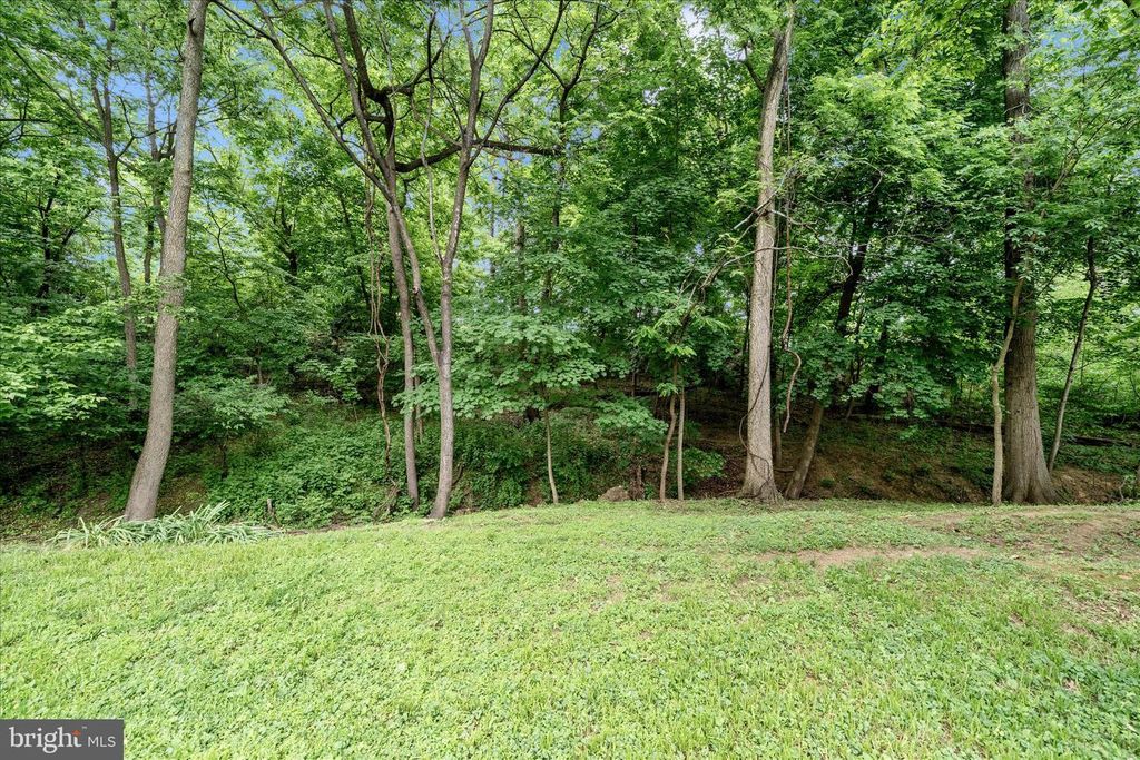 Image 43 of property listing at 212 WINTERGREEN LN, Brunswick, MD 21716