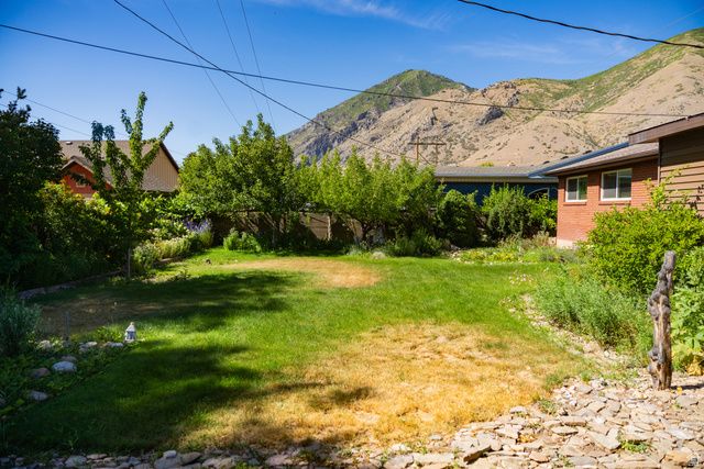 320 S 1100 E, Springville, UT 84663