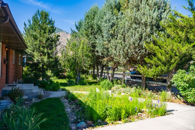 320 S 1100 E, Springville, UT 84663