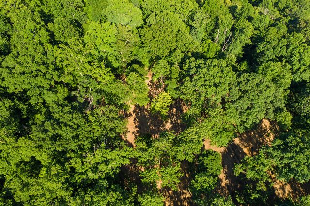 5185 Old Harding Rd, Franklin, TN 37064