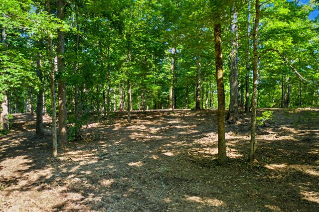 5185 Old Harding Rd, Franklin, TN 37064