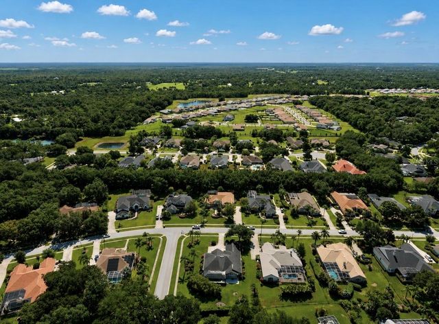6105 AUDUBON MANOR BOULEVARD, Lithia, FL 33547