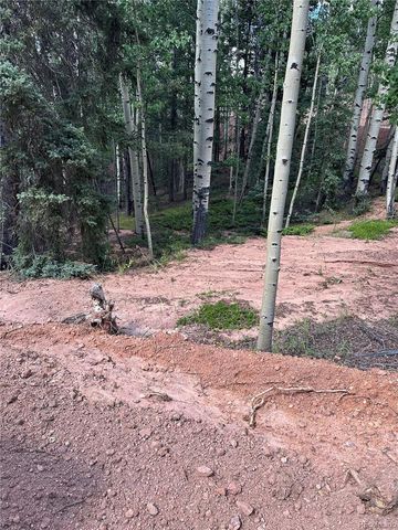 1301 Calcite Drive, Divide, CO 80814