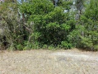 16254 GUPTON STREET, Brooksville, FL 34613