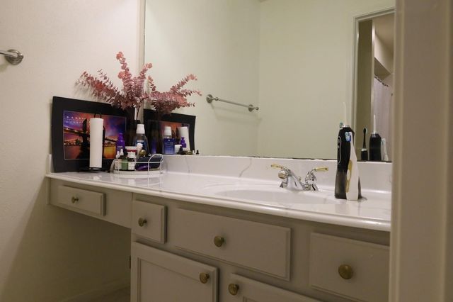 3223 Autumn Bridge Lane, Houston, TX 77084