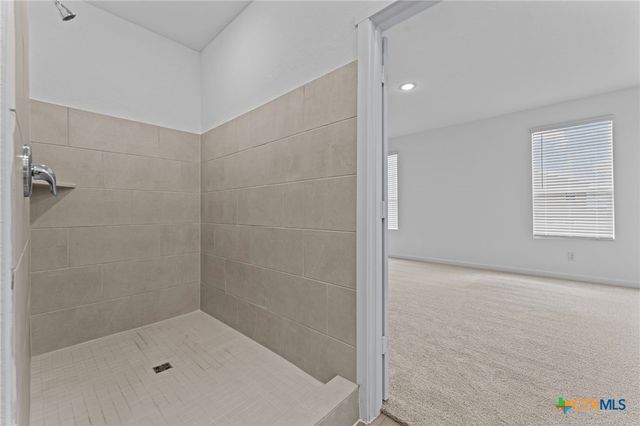 716 Horsetail Lane, New Braunfels, TX 78132