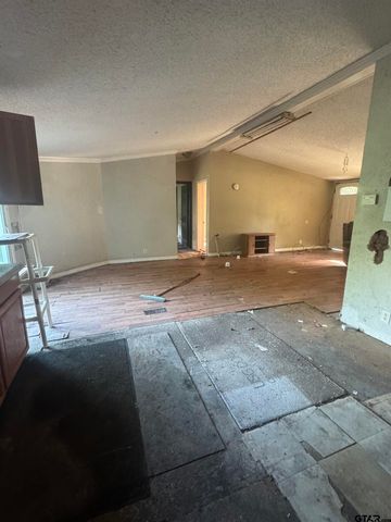 16401 Janan Dr., Tyler, TX 75707