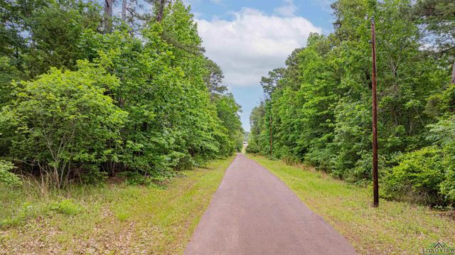 272 Seminole Loop, Jefferson, TX 75657