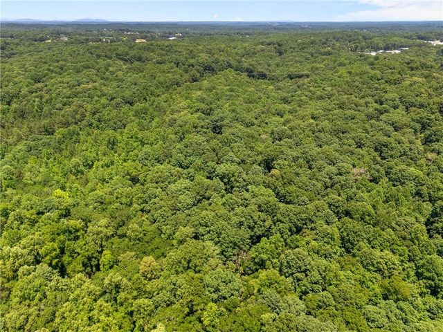 3807 Al Mangum Road, Talmo, GA 30575