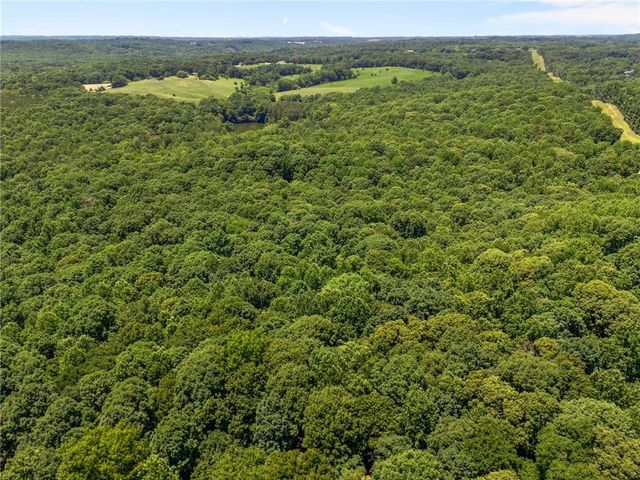 3807 Al Mangum Road, Talmo, GA 30575