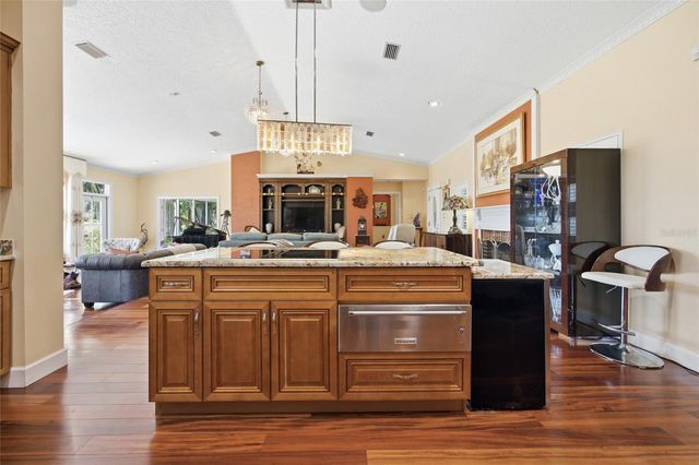 1100 N PALMETTO STREET, Leesburg, FL 34748