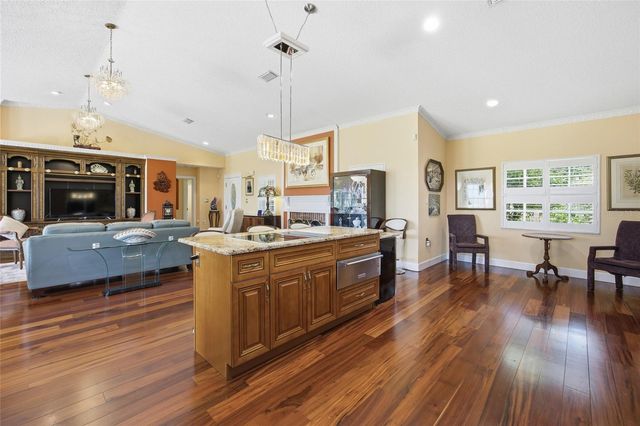 1100 N PALMETTO STREET, Leesburg, FL 34748