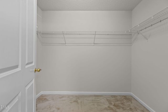 6839 Harter Court, Raleigh, NC 27610