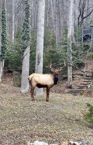 294 Laurel Branch Road, Maggie Valley, NC 28751