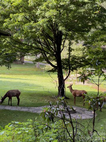 294 Laurel Branch Road, Maggie Valley, NC 28751