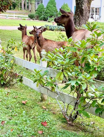 294 Laurel Branch Road, Maggie Valley, NC 28751