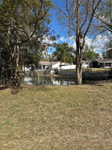SUNRISE DRIVE, Lutz, FL 33549
