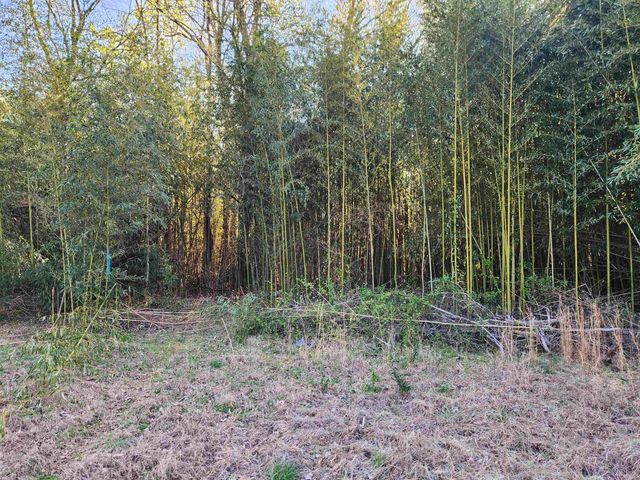 1212 Duncan Reidville Road, Duncan, SC 29334