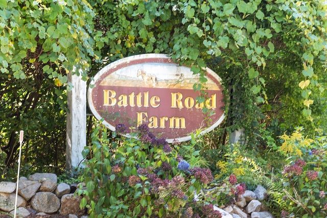 36 Indian Camp Lane D, Lincoln, MA 01773