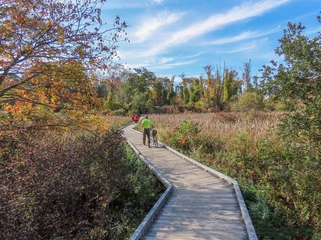 36 Indian Camp Lane D, Lincoln, MA 01773