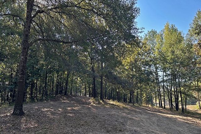 8868 FM 115, Scroggins, TX 75480