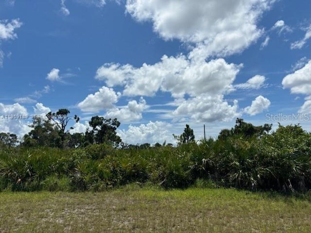 29328 PONTICO ST, Punta Gorda, FL 33982