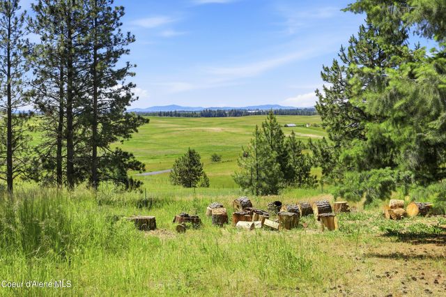 17765 S Rew RD, Worley, ID 83876