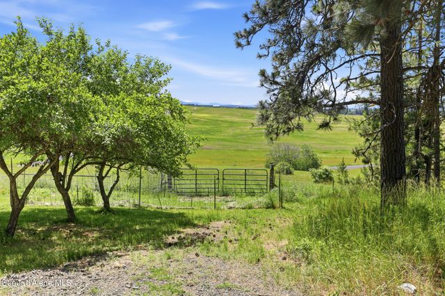 17765 S Rew RD, Worley, ID 83876