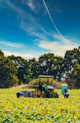 2626 Rockville Rd, Fairfield, CA 94534