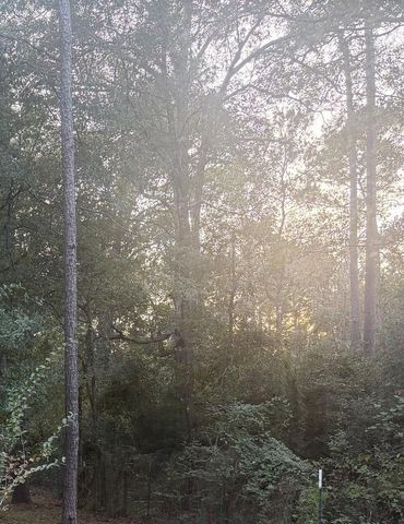 19008 Nottingham Lane, New Caney, TX 77357