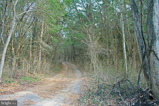 8045 AVIS MILL RD, Williamsport, MD 21795