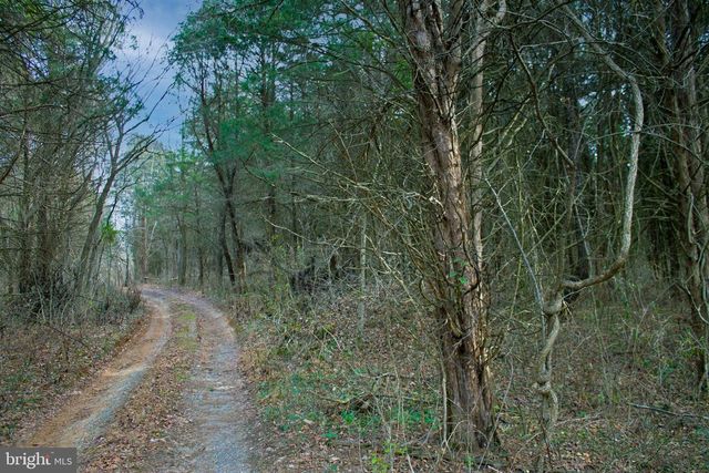 8045 AVIS MILL RD, Williamsport, MD 21795