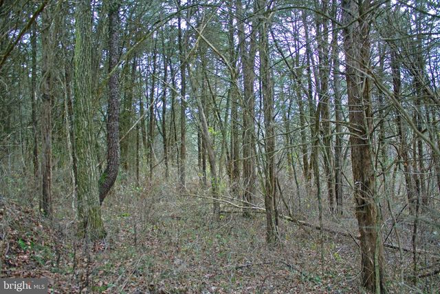 8045 AVIS MILL RD, Williamsport, MD 21795