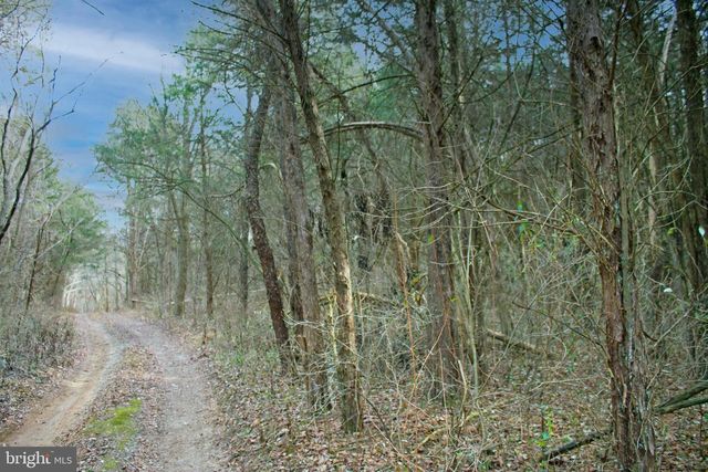 8045 AVIS MILL RD, Williamsport, MD 21795