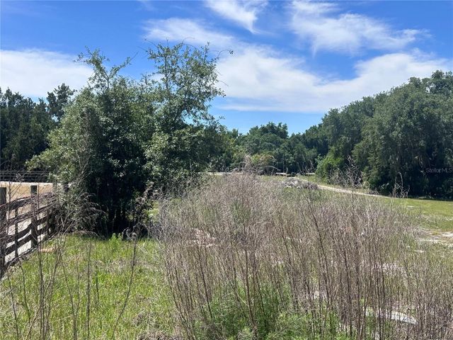 9315 E TREASURE ISLAND AVENUE, Leesburg, FL 34788