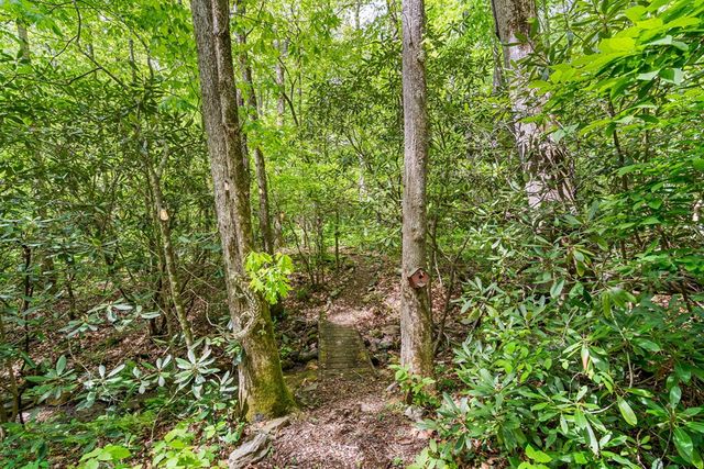 255 Stoney Brook Trail, Hayesville, NC 28904